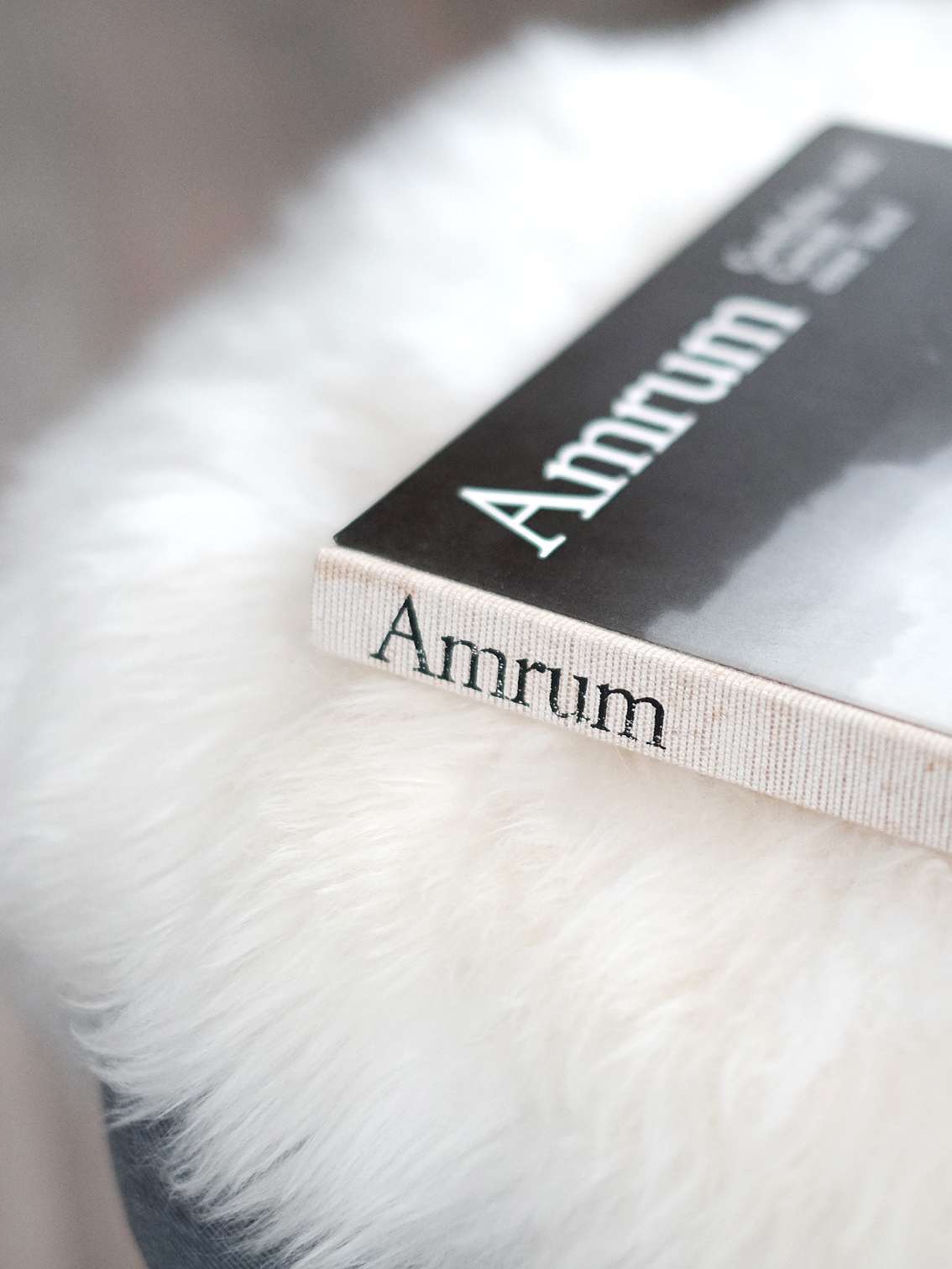 Amrumbank Ferienwohnung 4 Detail