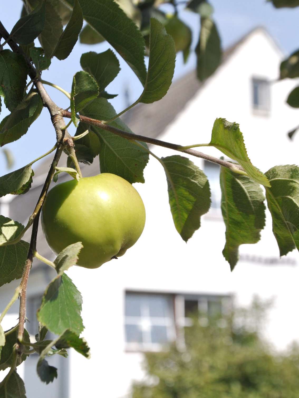 Ferienhaus Amrumbank