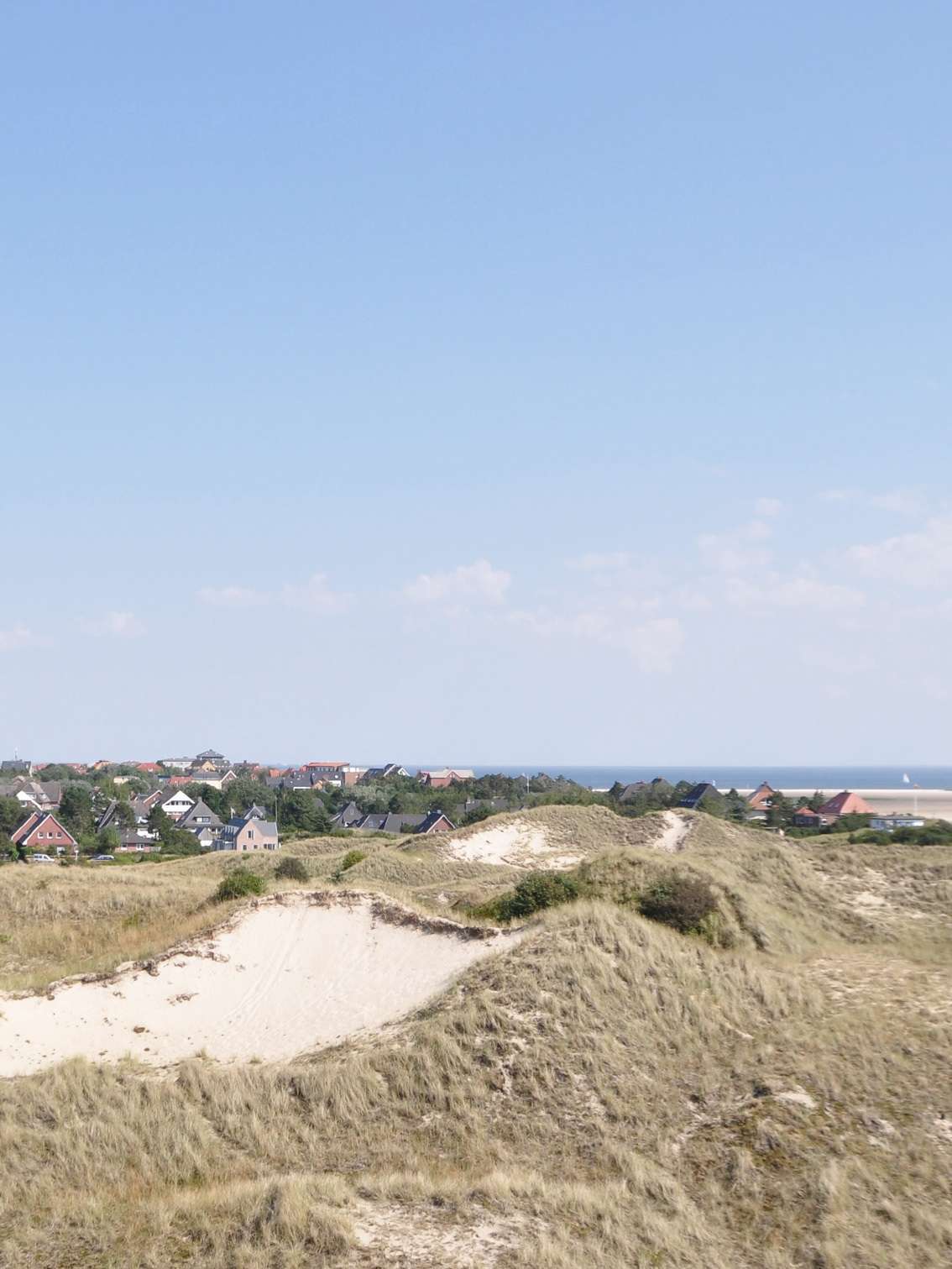 Amrum Dünenlandschaft bei Wittdün